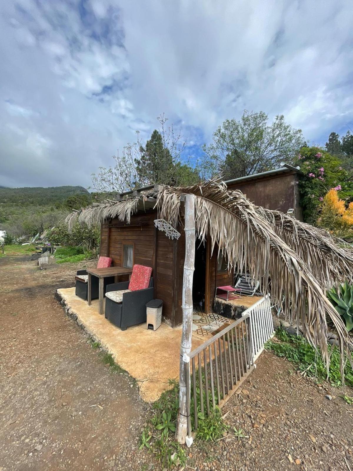 Bed and Breakfast Abracaribes Arecida Zewnętrze zdjęcie
